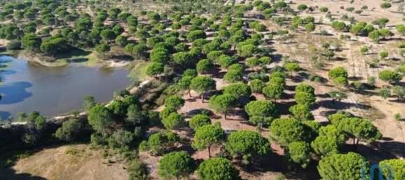 770000m² Land in Montargil, Portugal No. 130309 15