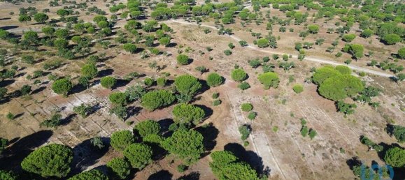 770000m² Land in Montargil, Portugal No. 130309 17