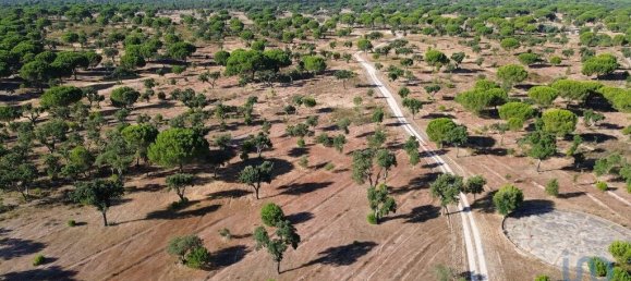 770000m² Land in Montargil, Portugal No. 130309 6