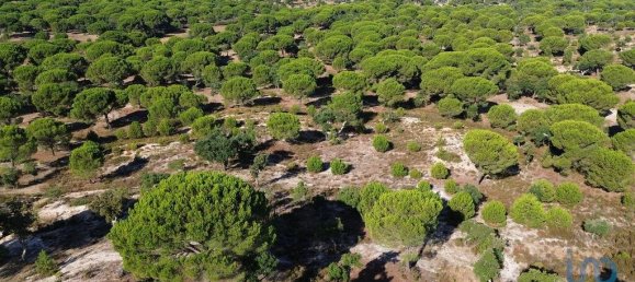 770000m² Land in Montargil, Portugal No. 130309 23