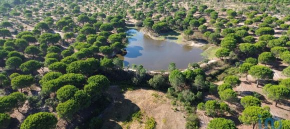 770000m² Land in Montargil, Portugal No. 130309 13