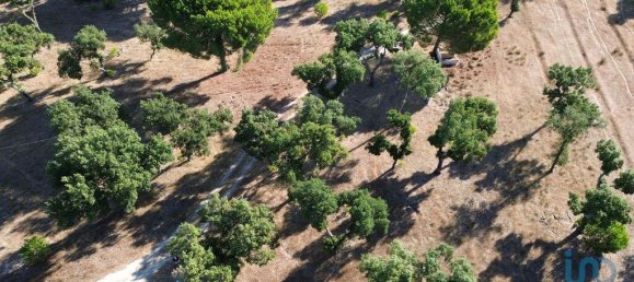 770000m² Land in Montargil, Portugal No. 130309 11