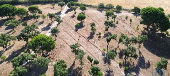 770000m² Land in Montargil, Portugal No. 130309 10