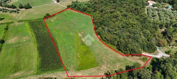 5080m² Land in Soiano del Lago, Italy No. 267293 19