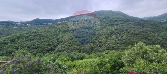 8 rooms House in Noli, Italy No. 192091 24