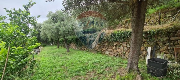 8 rooms House in Noli, Italy No. 192091 37