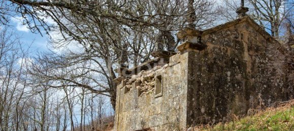 25 bedrooms House in Boticas, Portugal No. 110716 4