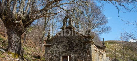 25 bedrooms House in Boticas, Portugal No. 110716 9