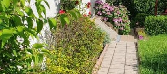 4 غرف نوم منزل في Saint-Jean-de-Braye, France رقم 239276 13