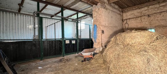 5 rooms Farm in Hochtaunuskreis, Germany No. 67857 25