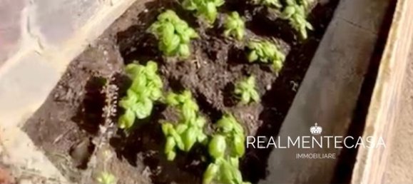 2 rooms Commercial property in Vigevano, Italy No. 91812 24