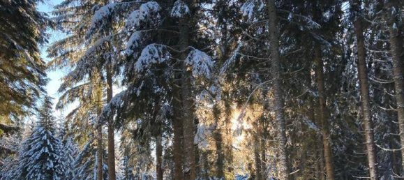 Apartamento T1 em Treffen am Ossiacher See, Austria N.º 71643 15