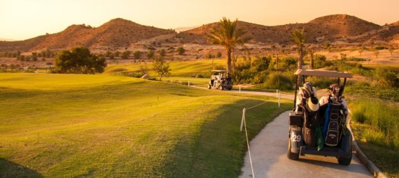 3 bedrooms Townhouse in Monforte del Cid, Spain No. 2629 14