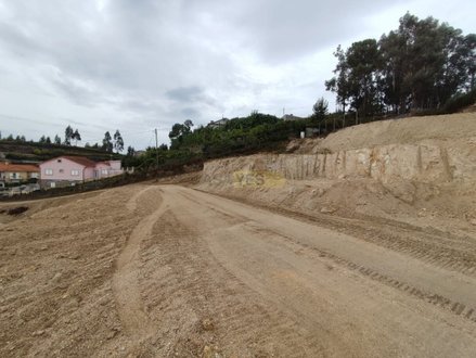 1000m² Land in Amarante, Portugal No. 45758