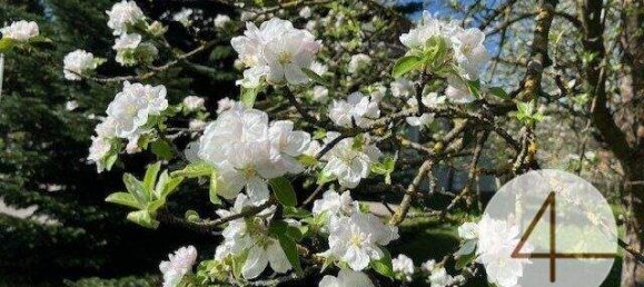 Grundstück in Waidhofen an der Ybbs, Austria, Nr. 112081 4