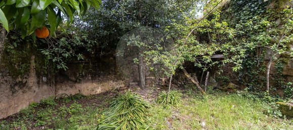 Casa T4 em Penacova, Portugal N.º 34298 20