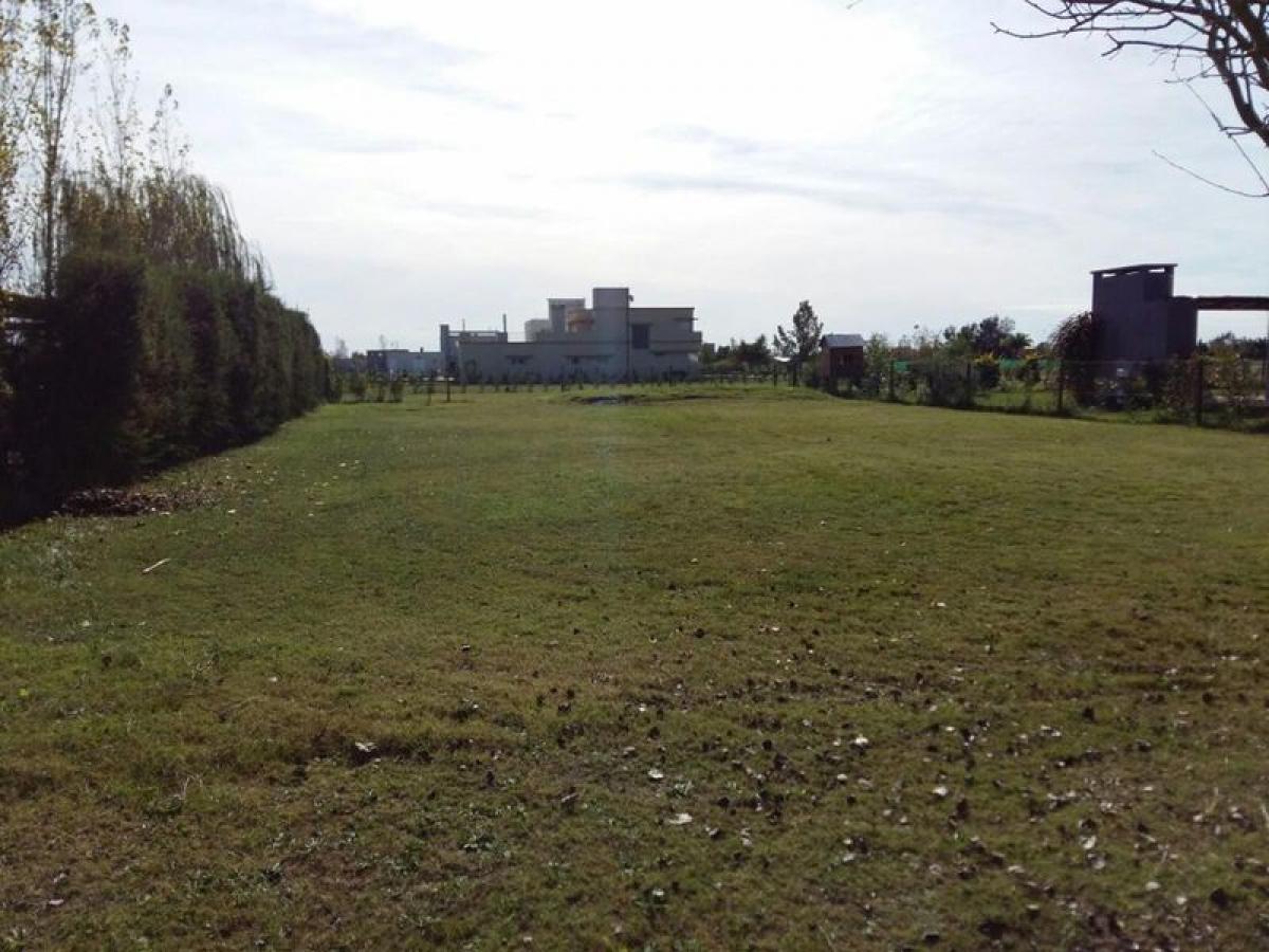  Land in Santa Fe, Argentina No. 31418