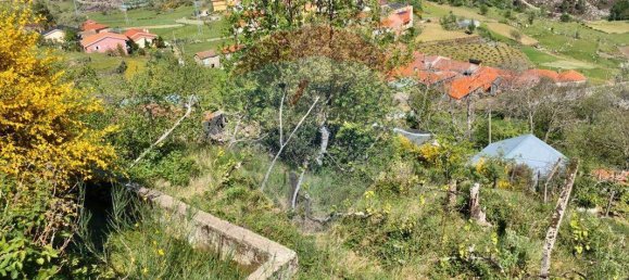 1 غرف نوم منزل في Vila Real, Portugal رقم 168432 7