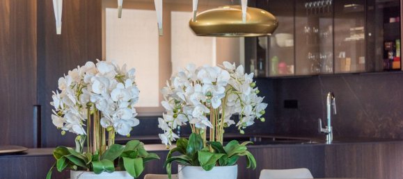 Таунхаус с 6 спальнями в Гуардамар-дель-Сегура, Испания № 185149 15