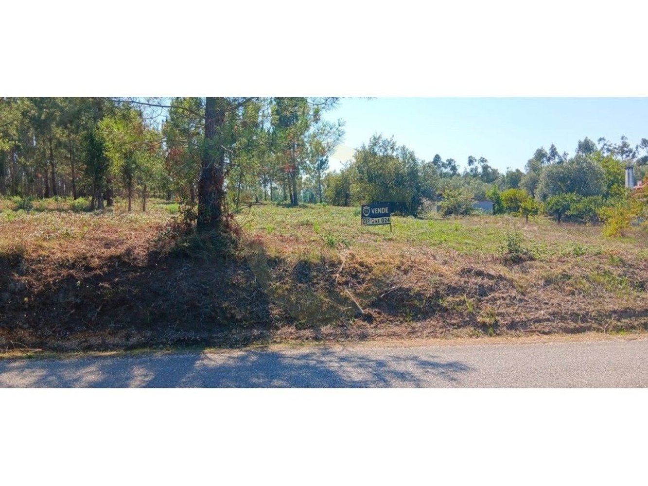 Terrain à Soure, Portugal No. 343757