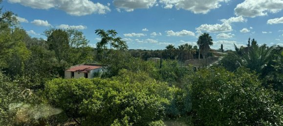 12 rooms Villa in Marsala, Italy No. 191572 5