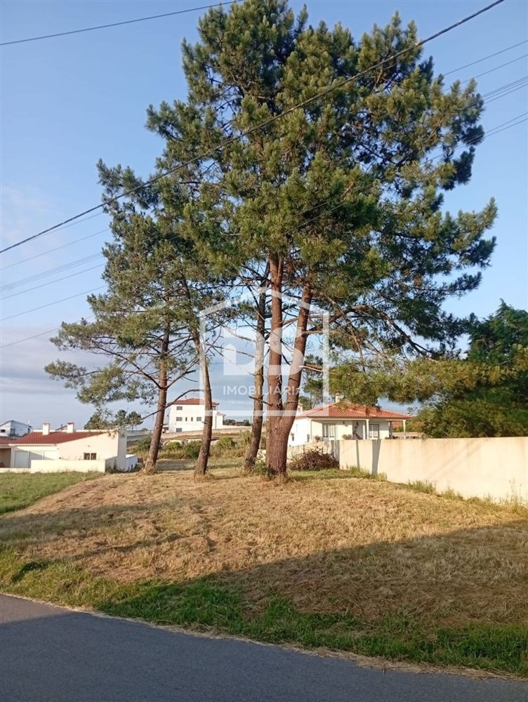 Land in Maceira, Portugal No. 201712