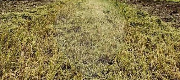 3 bedrooms Land in Messejana, Portugal No. 41668 13