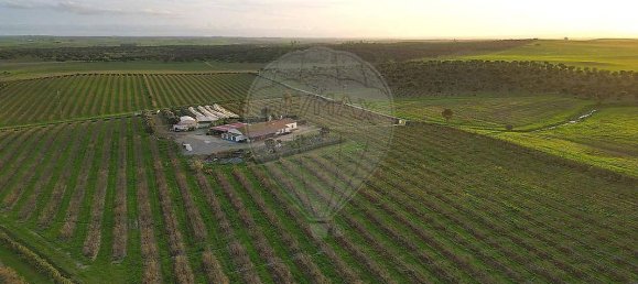 3 bedrooms Land in Messejana, Portugal No. 41668 23