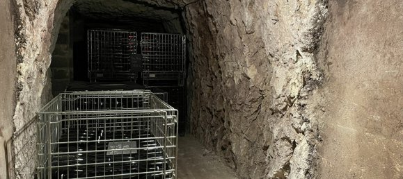 5 bedrooms House in Chancay, France No. 88382 15