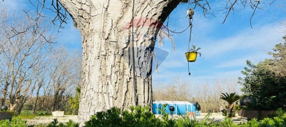 14غرفة فيلا في Chiaramonte Gulfi, Italy رقم 156139 13