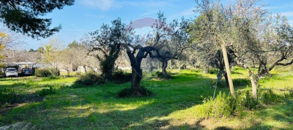 14غرفة فيلا في Chiaramonte Gulfi, Italy رقم 156139 26