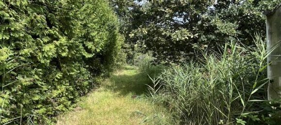 5 bedrooms House in Leer, Germany No. 279087 8