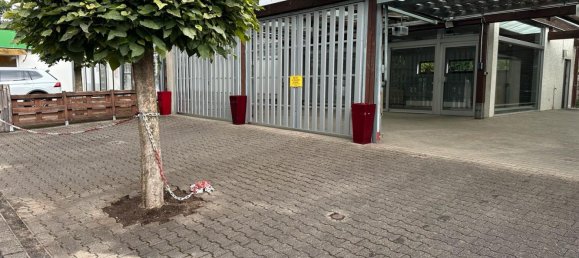 Коммерческая недвижимость 341м² в Леверкузен, Германия № 240689 4