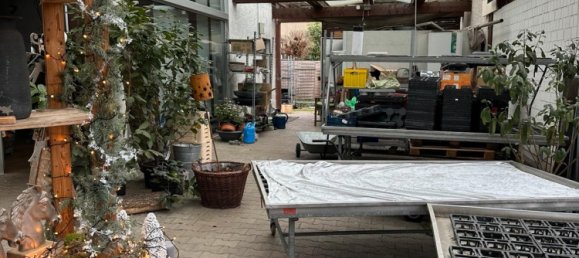 Коммерческая недвижимость 341м² в Леверкузен, Германия № 240689 11