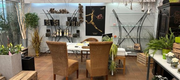 Коммерческая недвижимость 341м² в Леверкузен, Германия № 240689 10