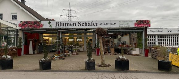 Коммерческая недвижимость 341м² в Леверкузен, Германия № 240689 13