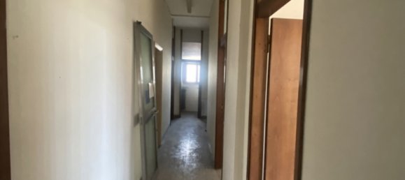 5-Zimmer Gewerbliche Immobilie in Casalgrande, Italy, Nr. 88552 8