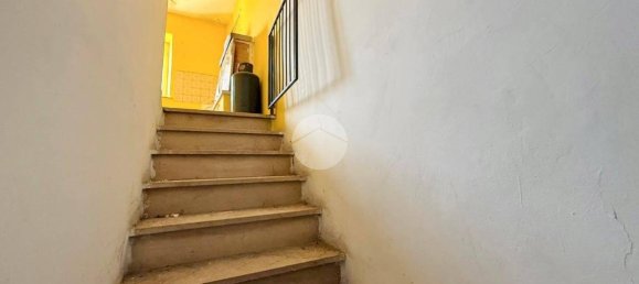 1 bedroom Apartment in Nepi, Italy No. 331143 3