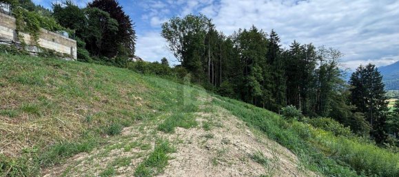 Земельный участок в Ферндорф, Австрия № 190534 2