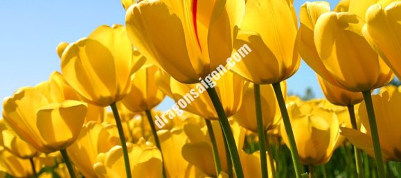 100m² Apartment in Binh Thanh, Vietnam No. 11421 5