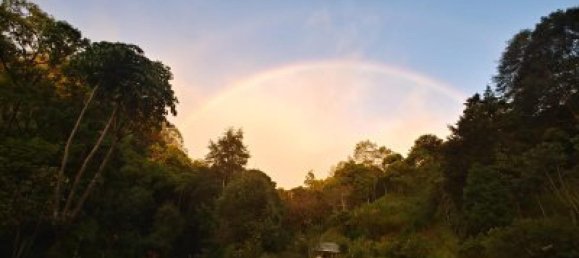 Casa T9 em Dota, Costa Rica N.º 1275 12