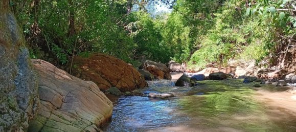 Casa T9 em Dota, Costa Rica N.º 1275 9