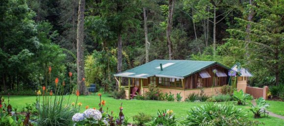 Casa T9 em Dota, Costa Rica N.º 1275 8