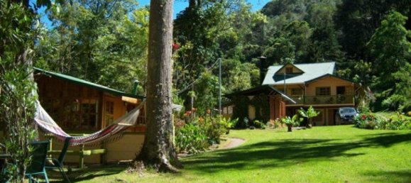 Casa T9 em Dota, Costa Rica N.º 1275 10