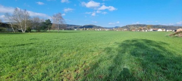 4920m² Land in Saint-Leonard, France No. 76623 5