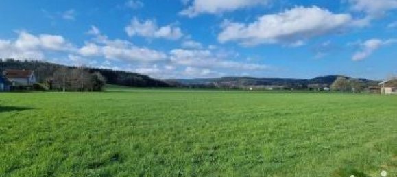 4920m² Land in Saint-Leonard, France No. 76623 3
