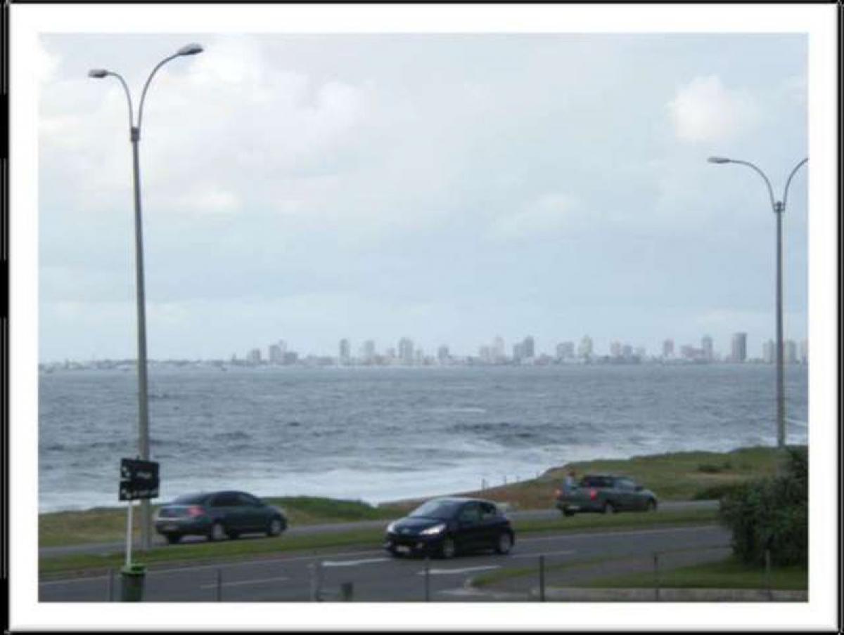  قطعة أرض في Maldonado, Uruguay رقم 13971