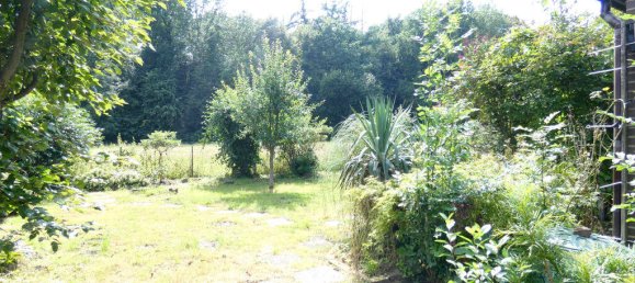 8-Zimmer Haus in Lippe, Germany, Nr. 248603 4