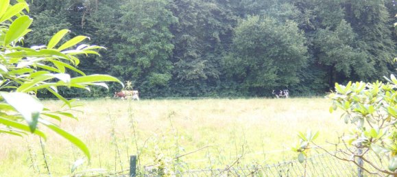 8-Zimmer Haus in Lippe, Germany, Nr. 248603 5