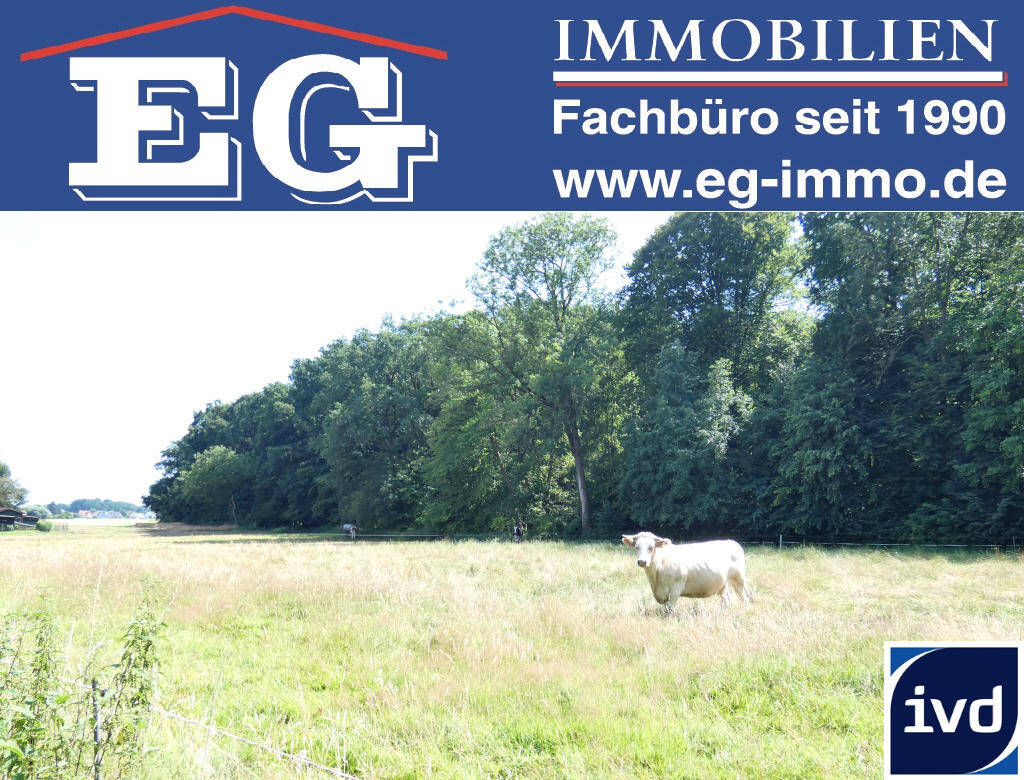 8-Zimmer Haus in Lippe, Germany, Nr. 248603